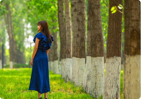 首页- J9集团国际站官网入口