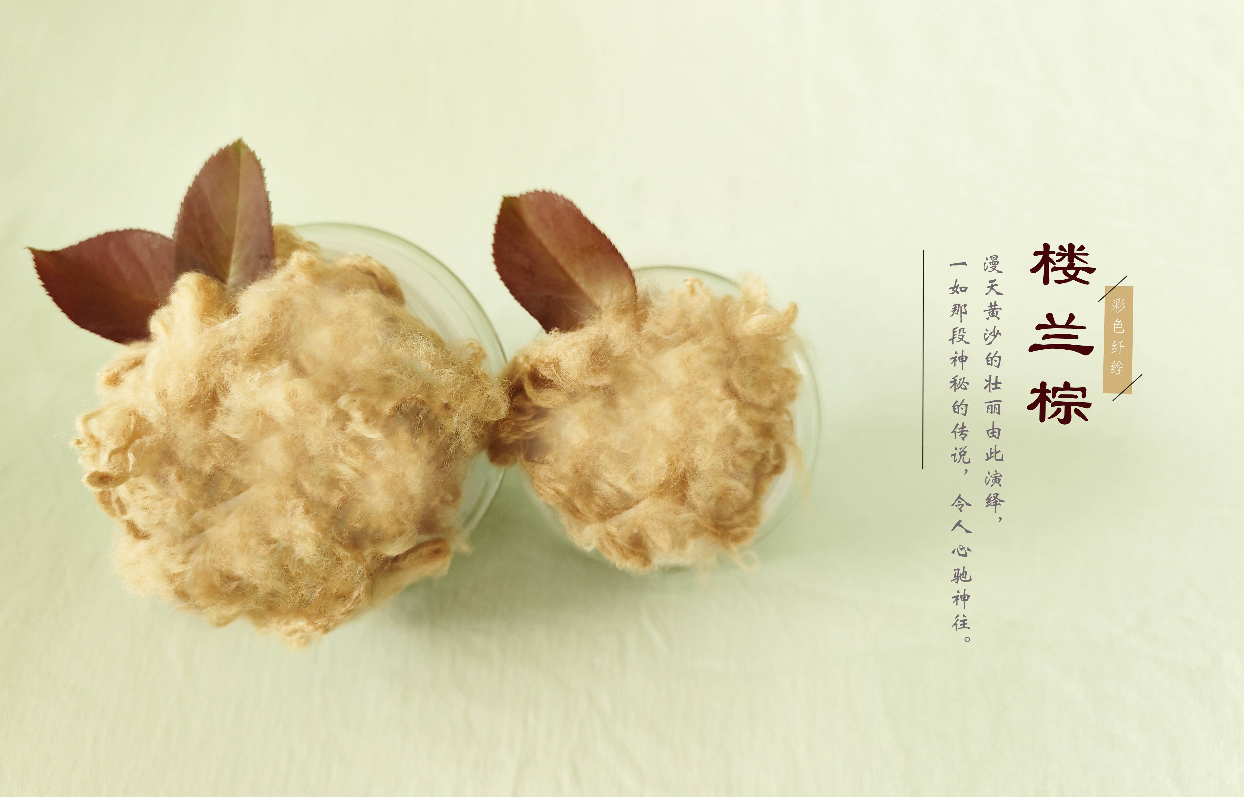 首页- J9集团国际站官网入口