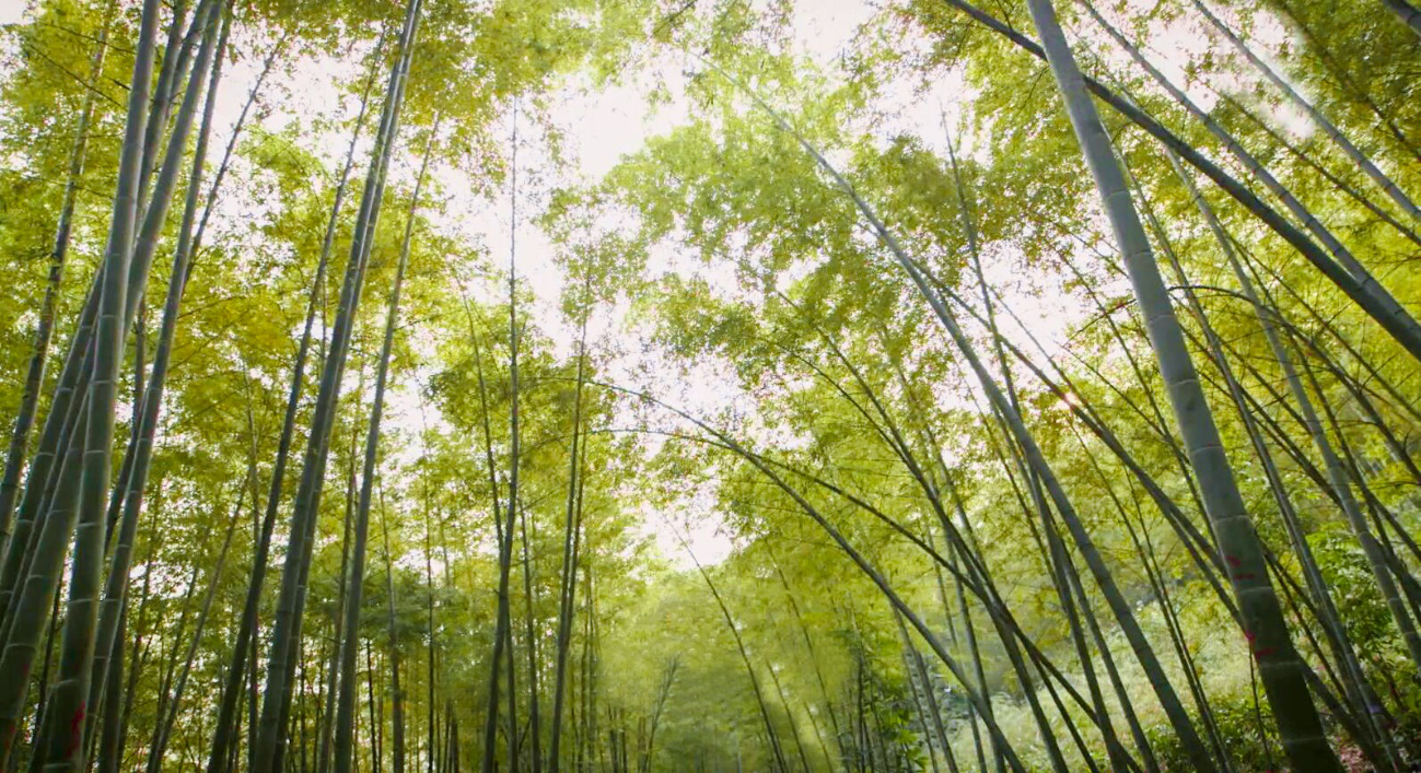 首页- J9集团国际站官网入口