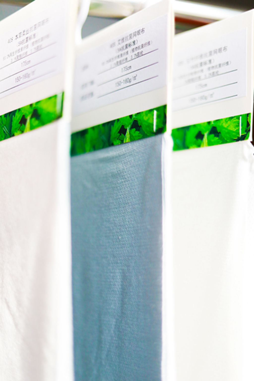 首页- J9集团国际站官网入口