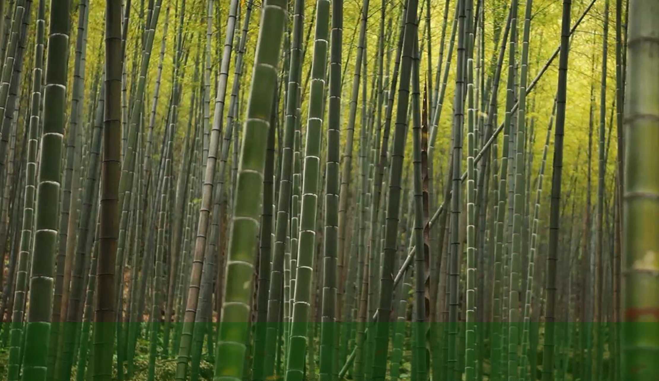 首页- J9集团国际站官网入口