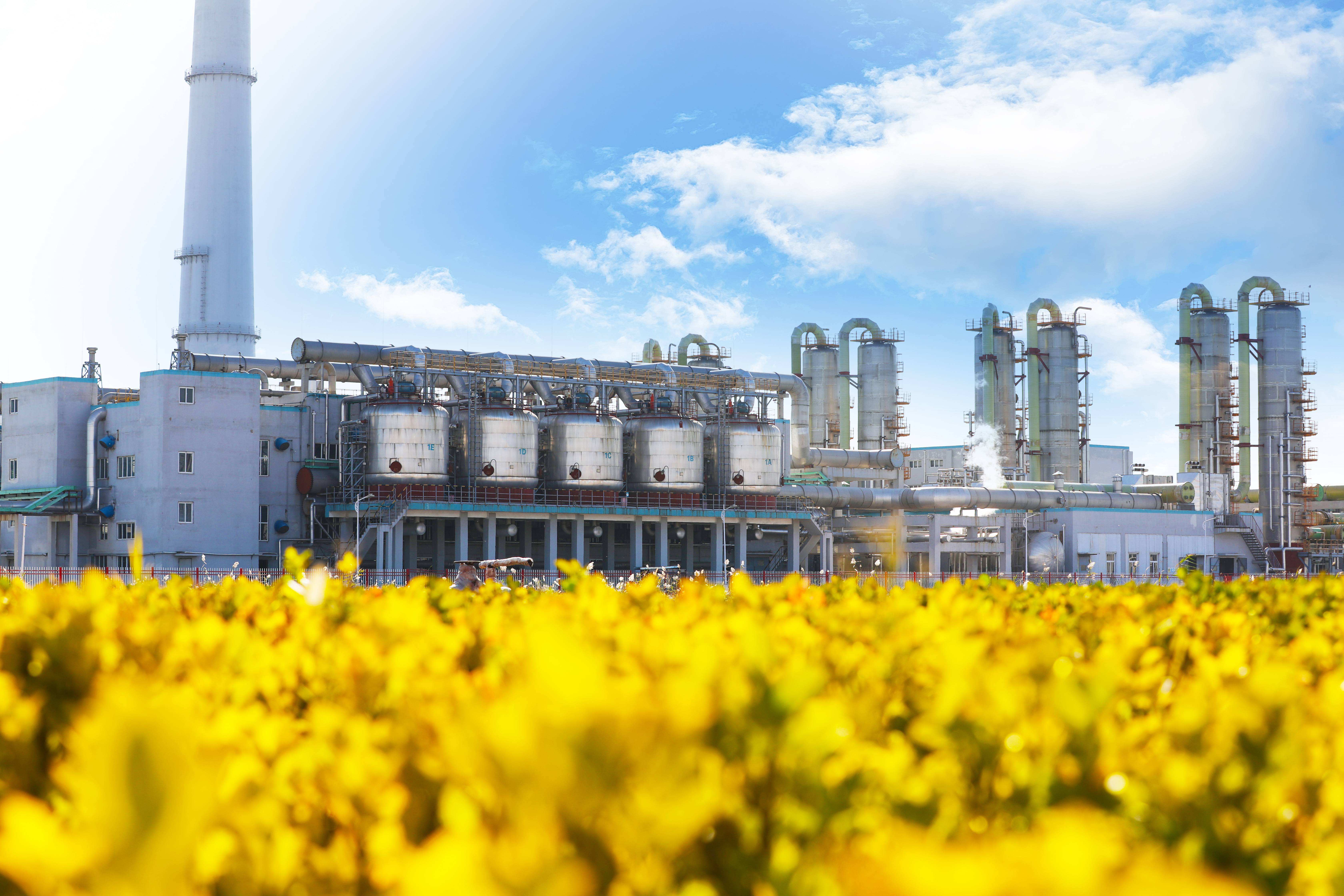 首页- J9集团国际站官网入口