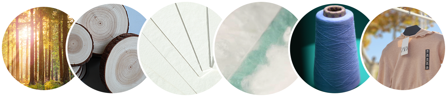 首页- J9集团国际站官网入口